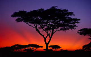 Illustration for article titled Need travel advice for East African trip